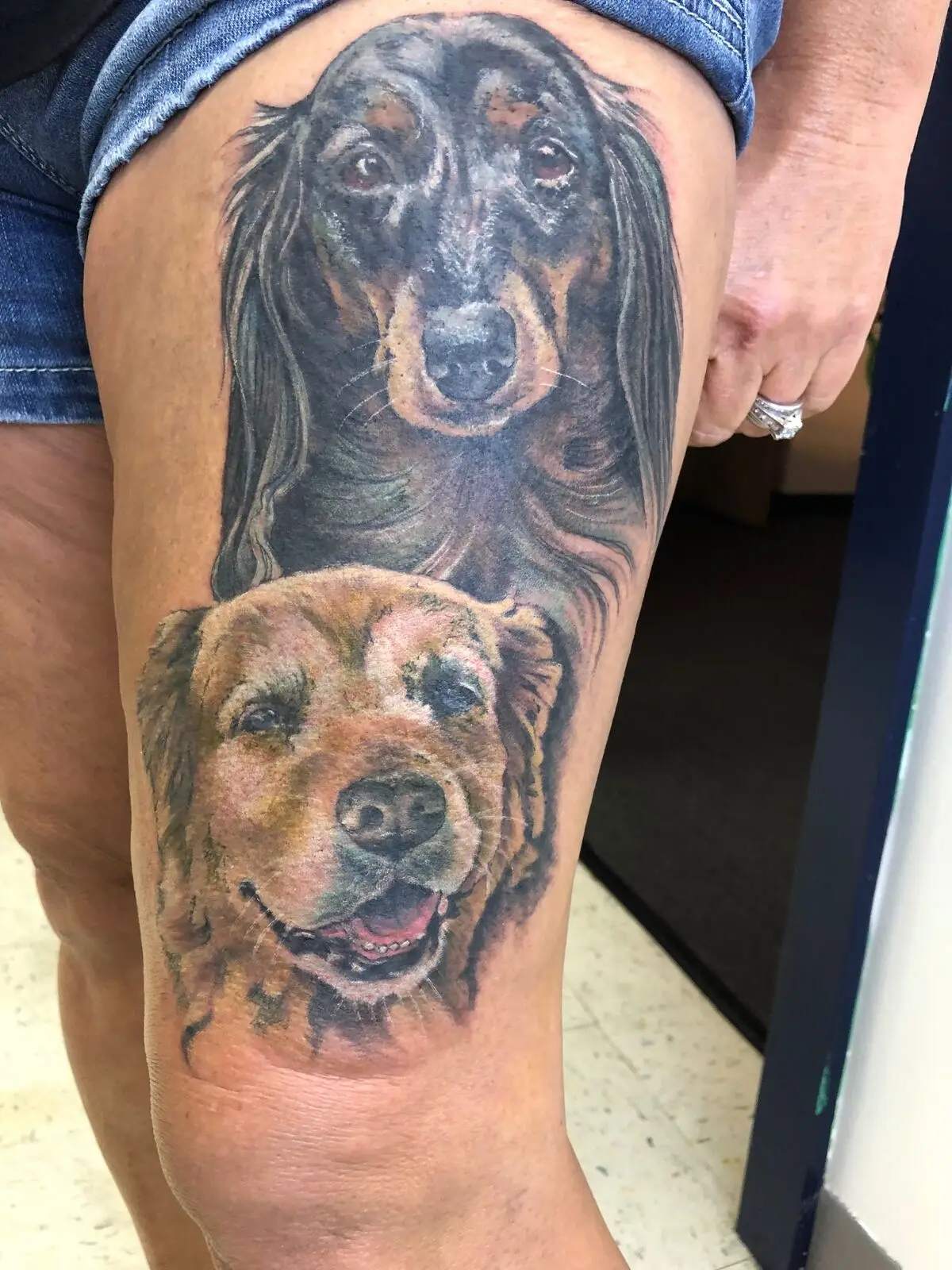 Color realism dual pet portrait tattoo of dachshund and golden retriever on thigh